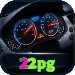 22pg