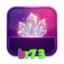 br73